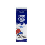 Blueberry Pomegranate Frozen Beverage Mix - 12 x 32 oz