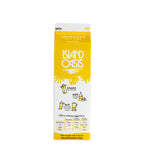 Premium Lemonade Frozen Beverage Mix - 12 x 32 oz