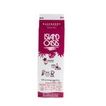 Red Raspberry Frozen Beverage Mix - 12 x 32 oz
