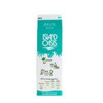 Mojito Frozen Beverage Mix - 12 x 32 oz