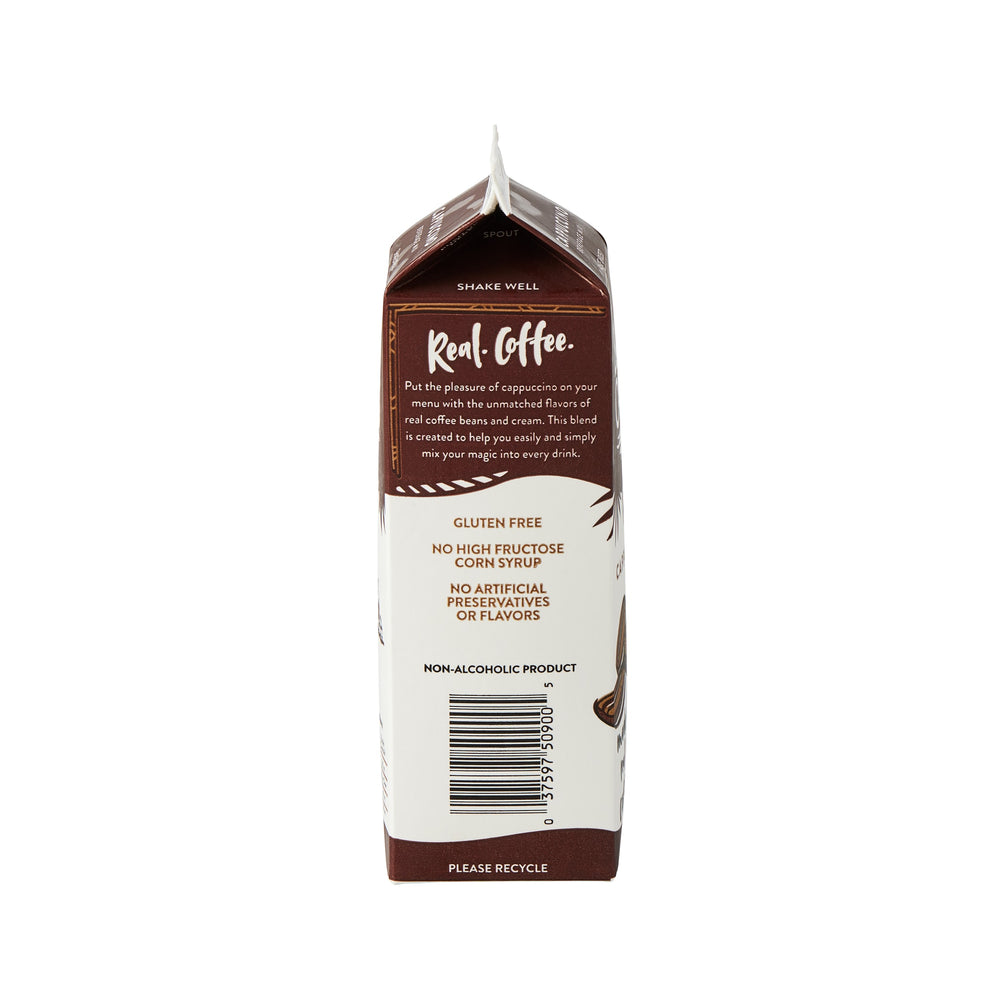 Cappuccino Frozen Beverage Mix - 12 x 32 oz