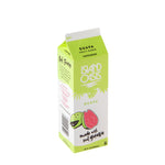 Guava Frozen Beverage Mix - 12 x 32 oz